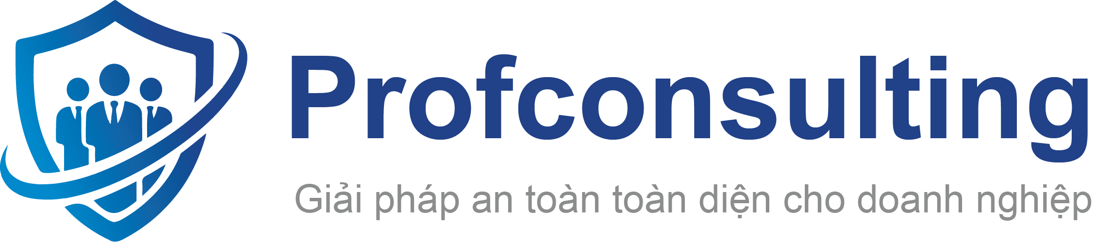 Logo Profconsulting Horizontal